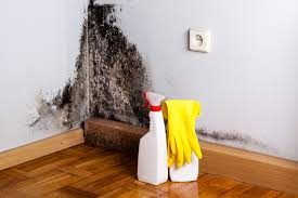 Best Real Estate Mold Inspection  in USA